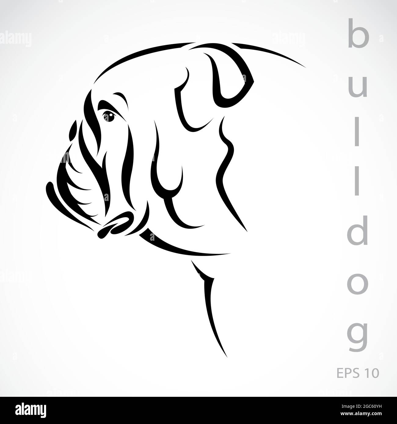 Vector image of a dog (bulldog) on white background. Easy editable layered vector illustration. Wild Animals. Stock Vector