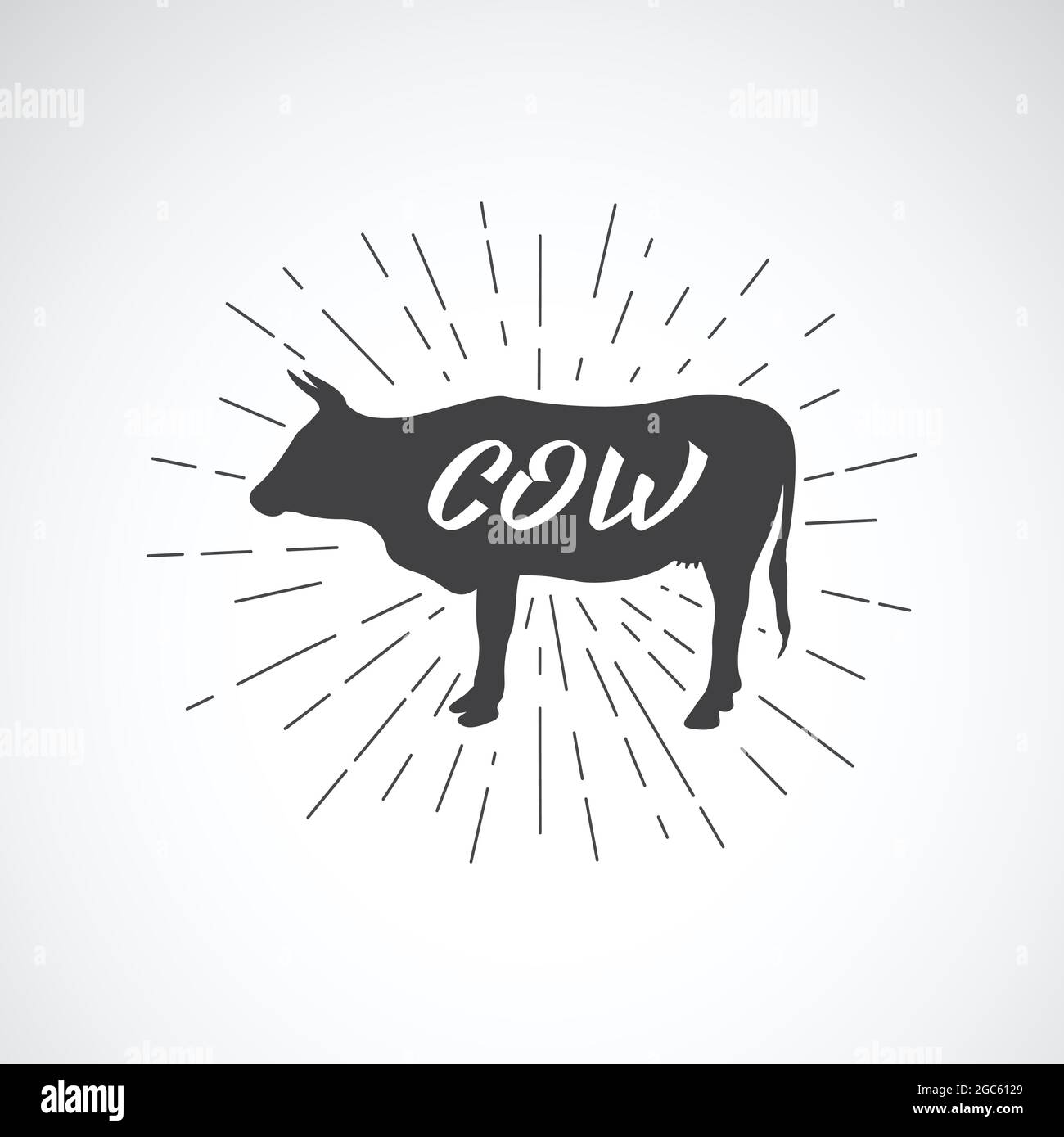 Vector of lettering within silhouette of cow on white background. . Vector illustration for groceries, Meat stores, packaging and advertising. Stock Vector