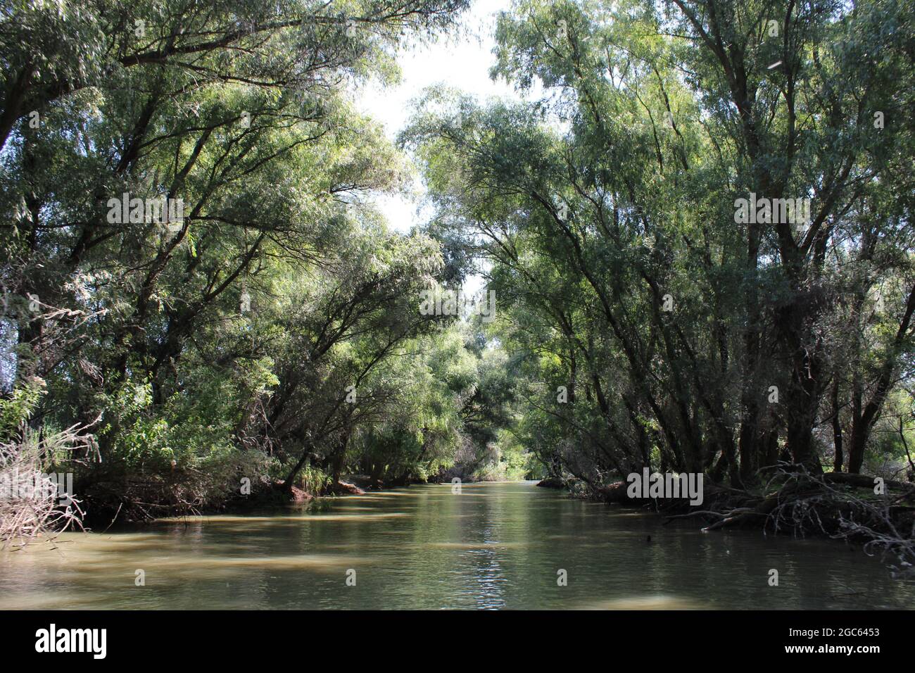 the danube delta, in Roumania,a protected area, with wild landscapes ...
