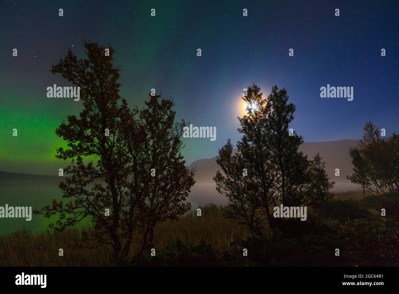 Aurora borealis and moon over misty nightscape at Fokstumyra nature reserve, Dovre, Norway, Scandinavia. Stock Photo