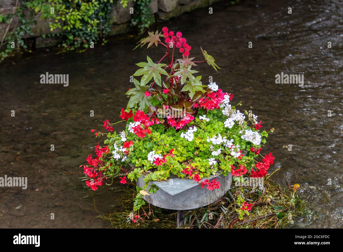 Flower pots with red and white geraniums in the gera river in erfurt, thuringia Stock Photo