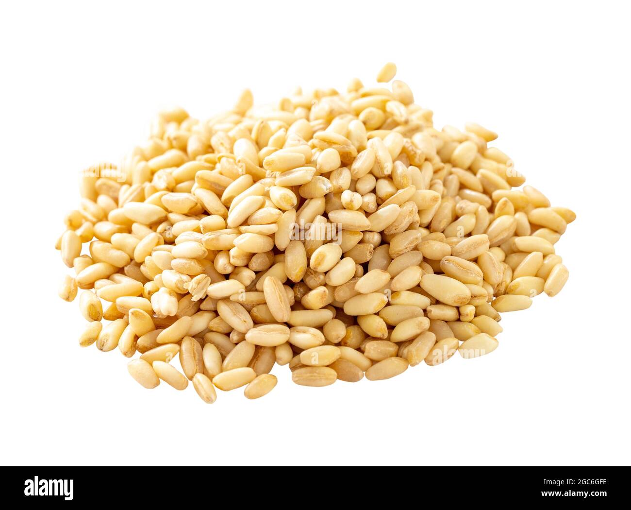 Raw Organic wheat grains on white background. Pile wheat grains ...