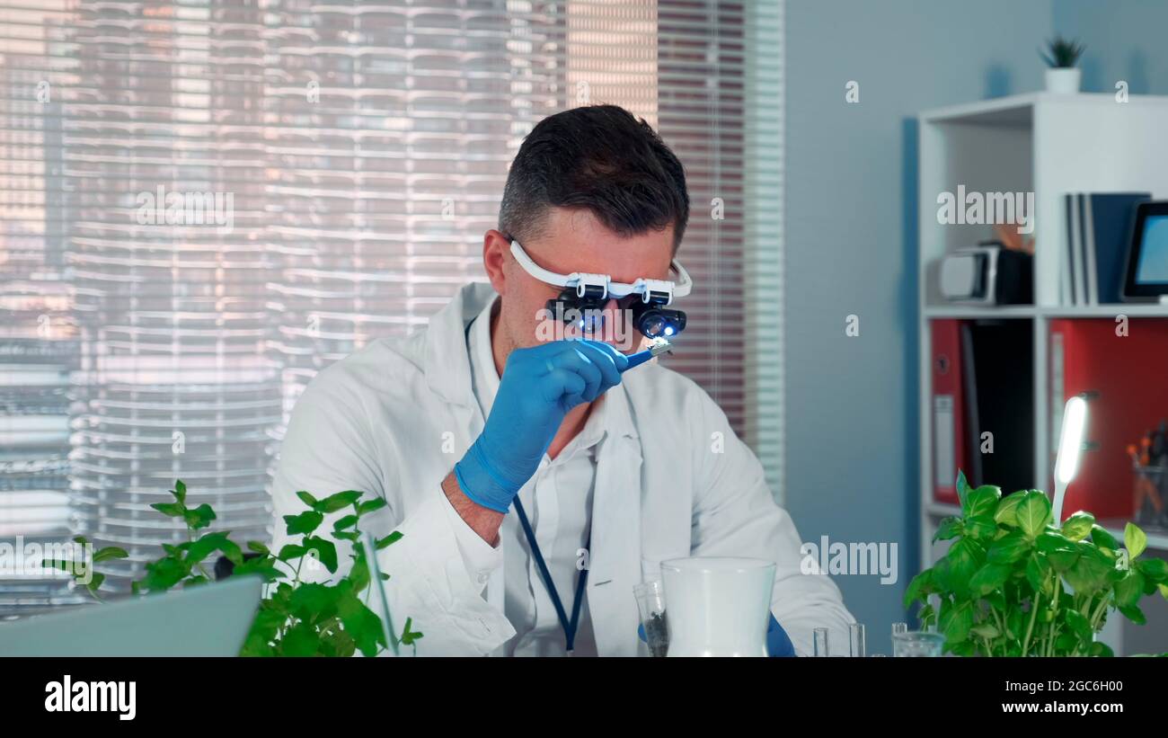 Botanist in magnifying glasses learning some type of plant in big modern lab. There are skyscrapers in the background. Stock Photo
