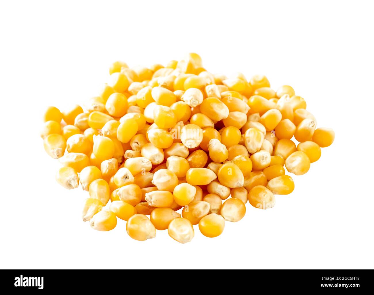Organic yellow corn seed or maize on white background. Pile raw corn