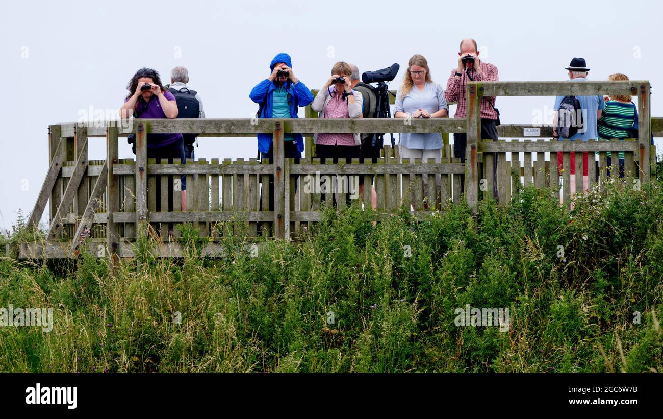 Bird watchers at Bempton Cliffs, East Riding, Yorkshire, UK Stock Photo