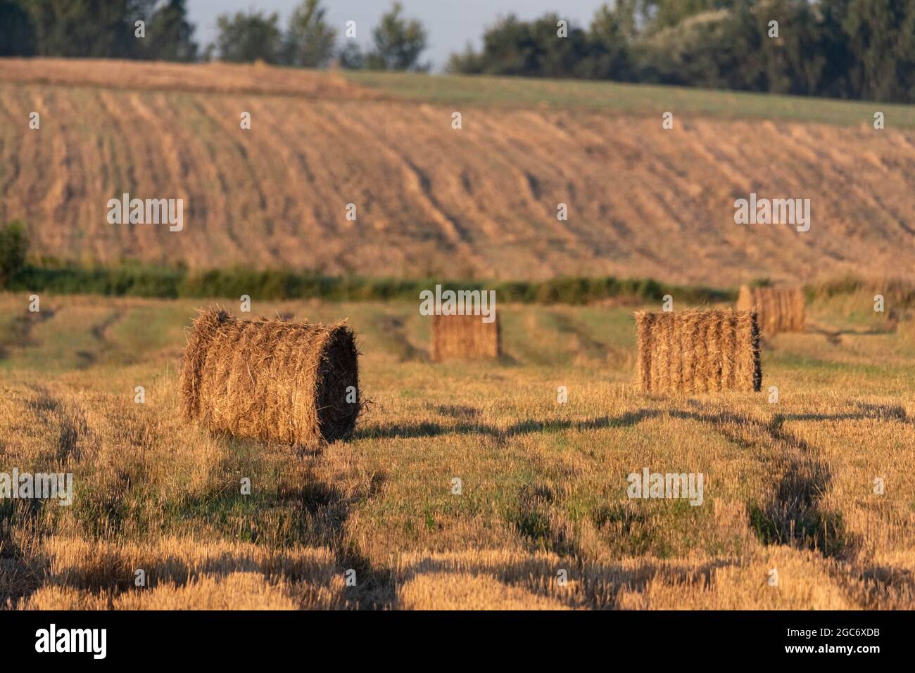 Straw Bales Tractor Supply Hires Stock Photography And