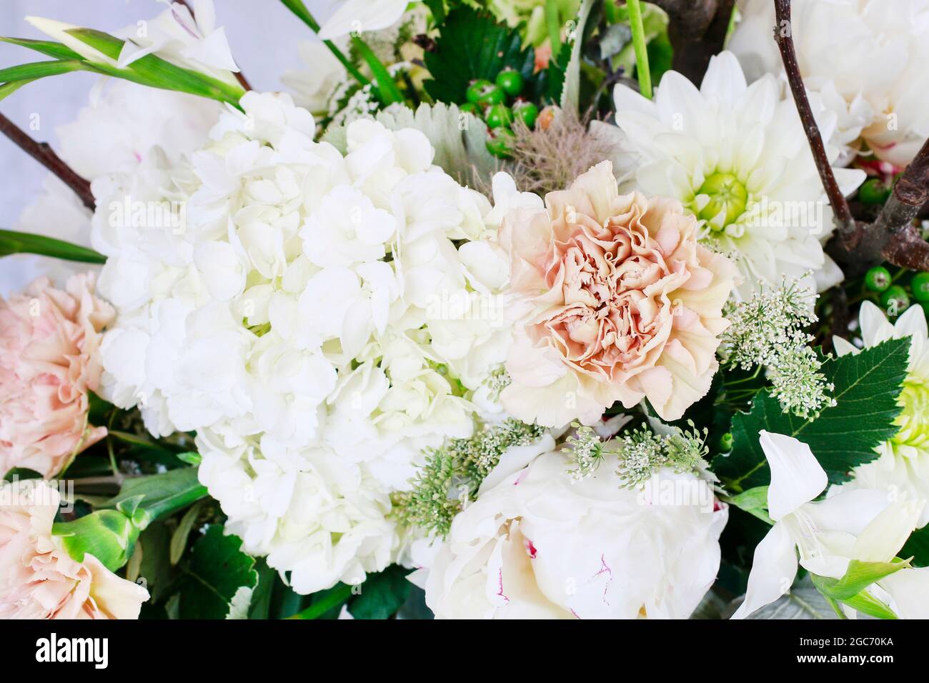 Flower background with hortensias (hydrangea), carnations and roses. Party decor Stock Photo Alamy