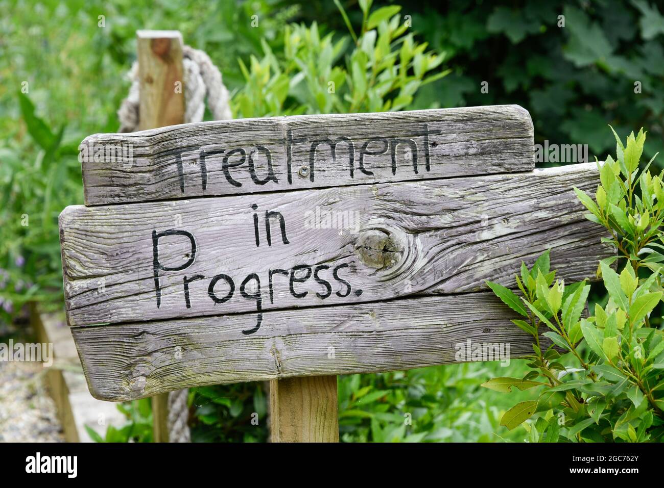Treatment in progress hires stock photography and images Alamy