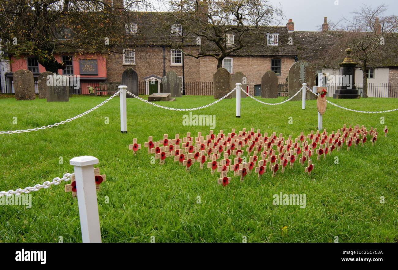 Remembrance poppies on crosses outside Malmesbury Abbey in Wiltshire, showing buildings in the background Stock Photo
