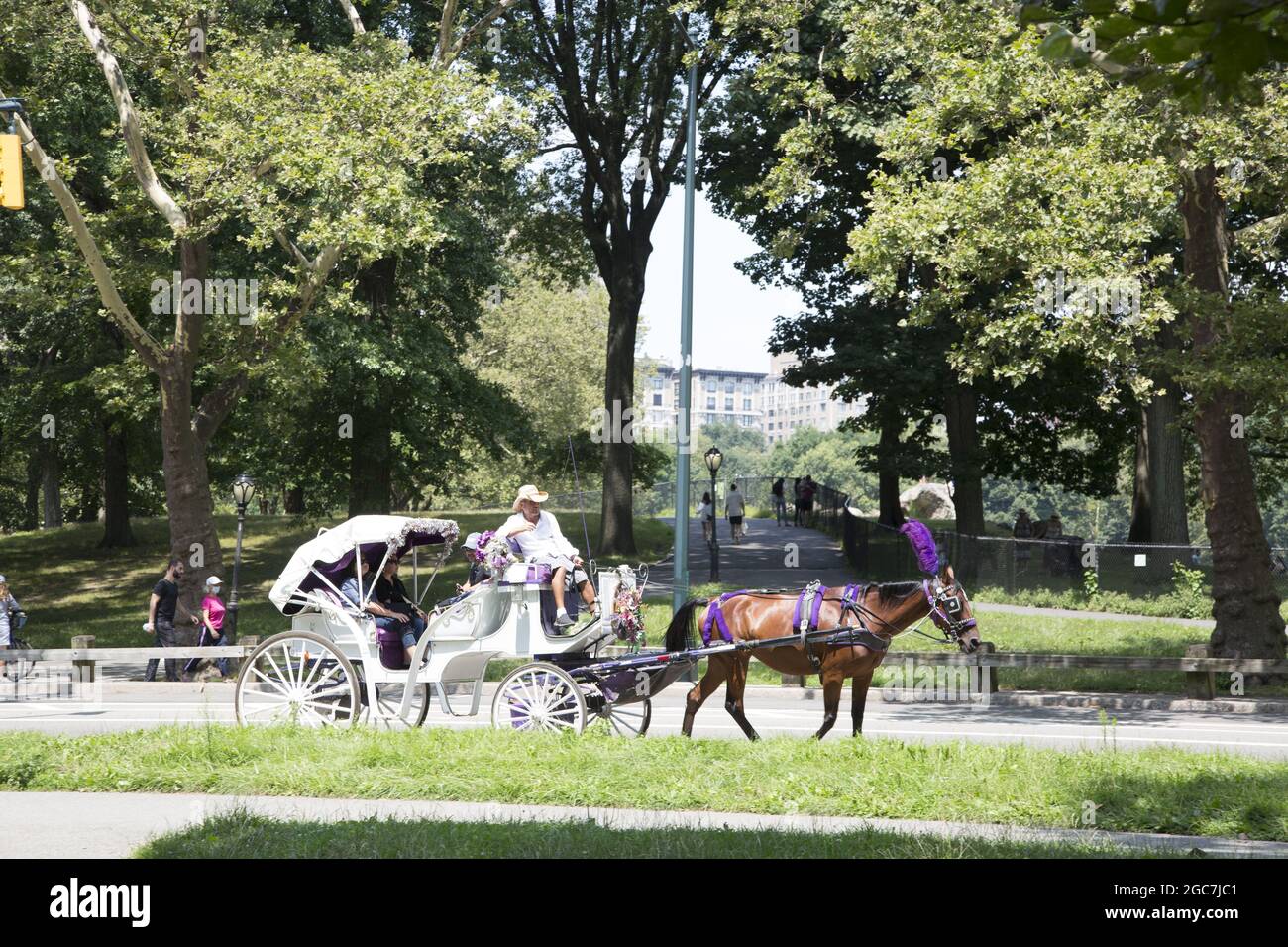 A leisurely horse and buggy ride  in Central Park is a popular attraction for many tourists in the Big Apple, New york City. Stock Photo