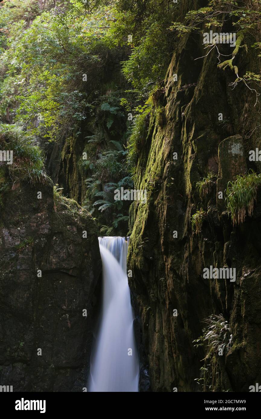 Stanley Ghyll Force in Eskdale, Cumbria, UK Stock Photo