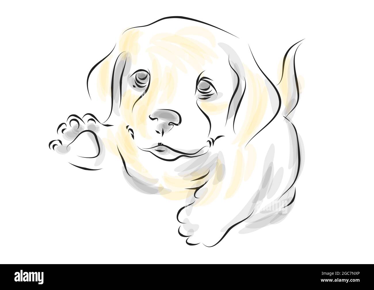golden retriever puppy vector illustration on white background Stock ...