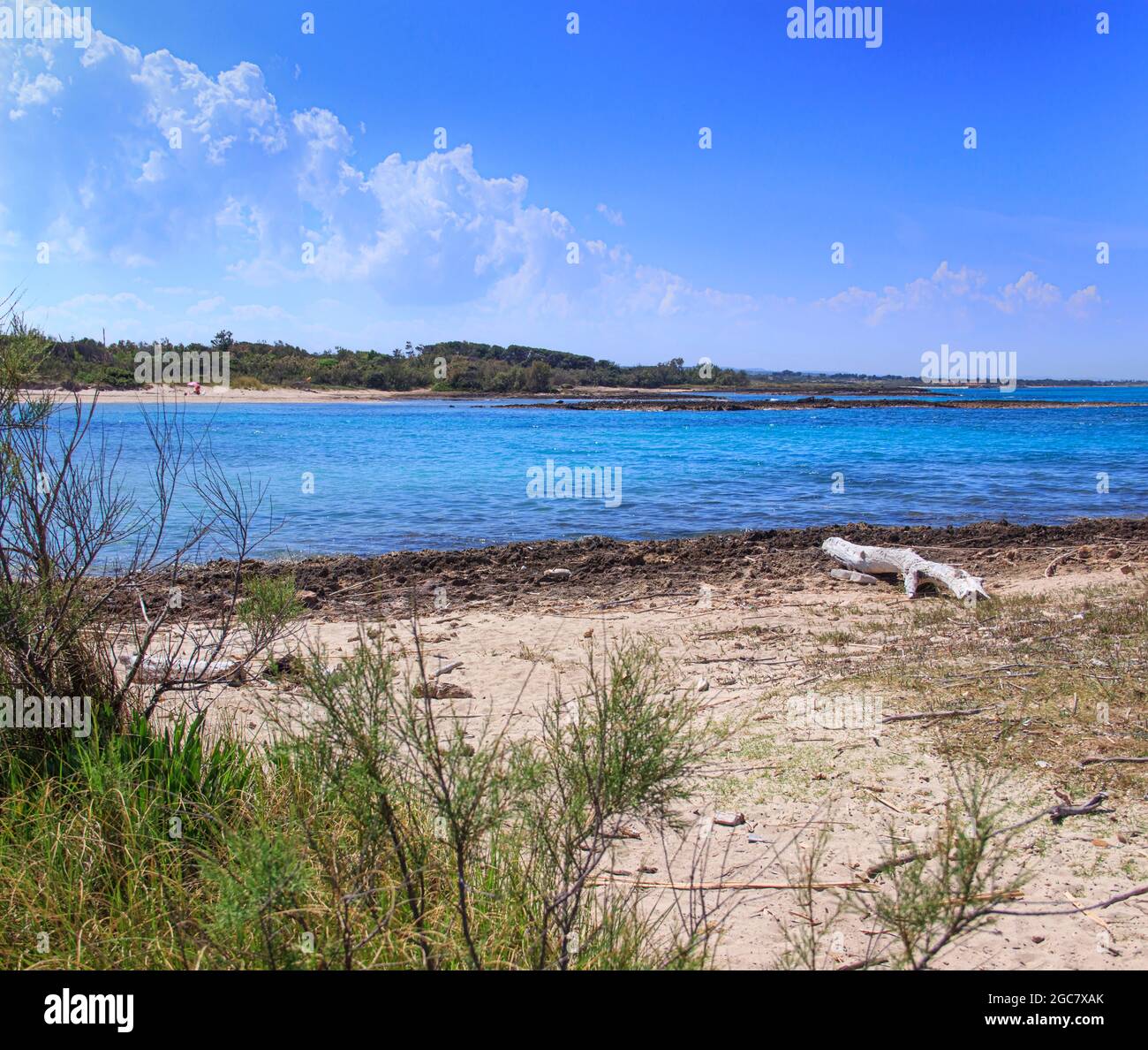 Torre Guaceto Nature Reserve in Apulia, Italy: view of the beach and the dunes. Mediterranean maquis: a nature sanctuary between the land and the sea. Stock Photo
