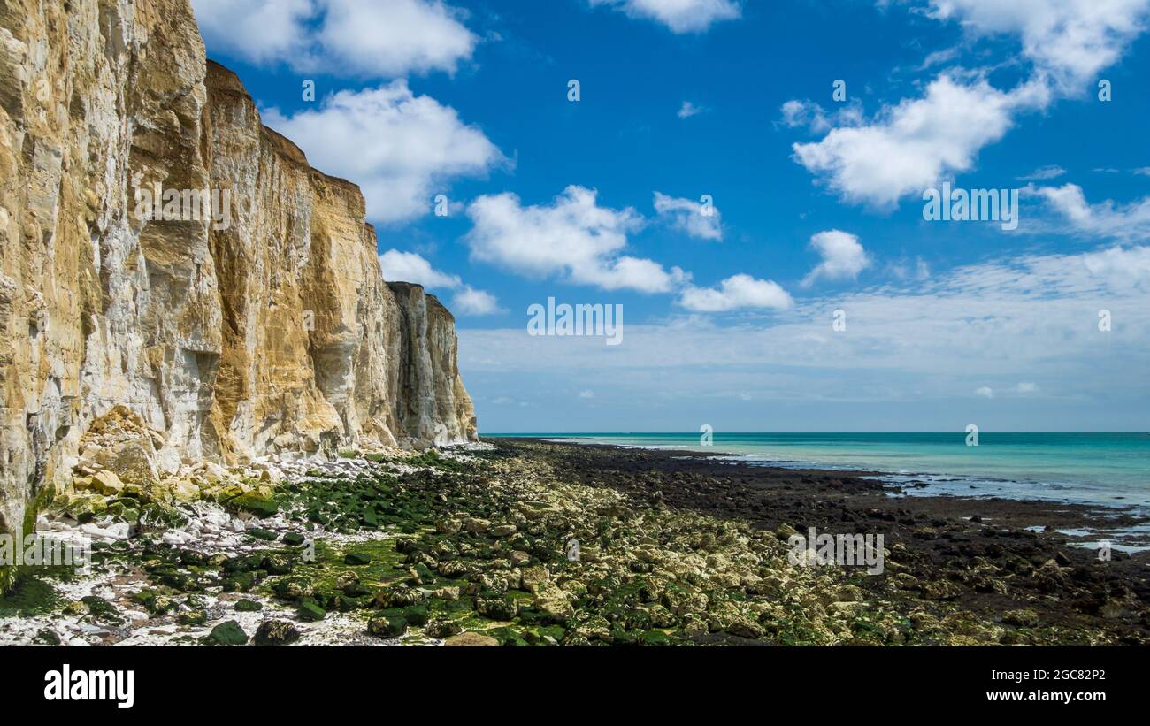 The chalk cliff face rising above the exposed rocks on the beach at low tide on a sunny summer's day with cumulus clouds in blue sky. Stock Photo