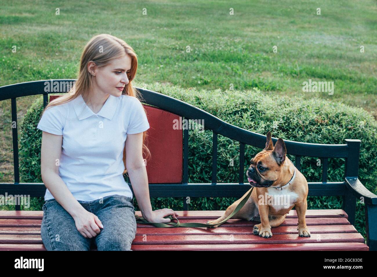 Dog owner on a park bench hi-res stock photography and images - Alamy