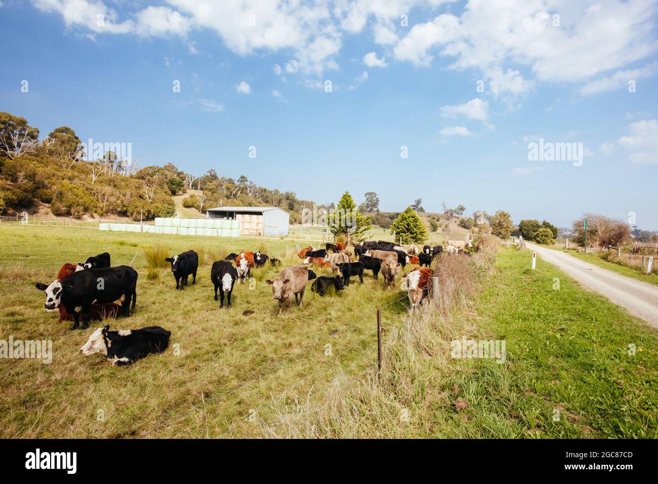 The popular Lilydale to Warburton Rail Trail between Woori Yallock station and Launching Place