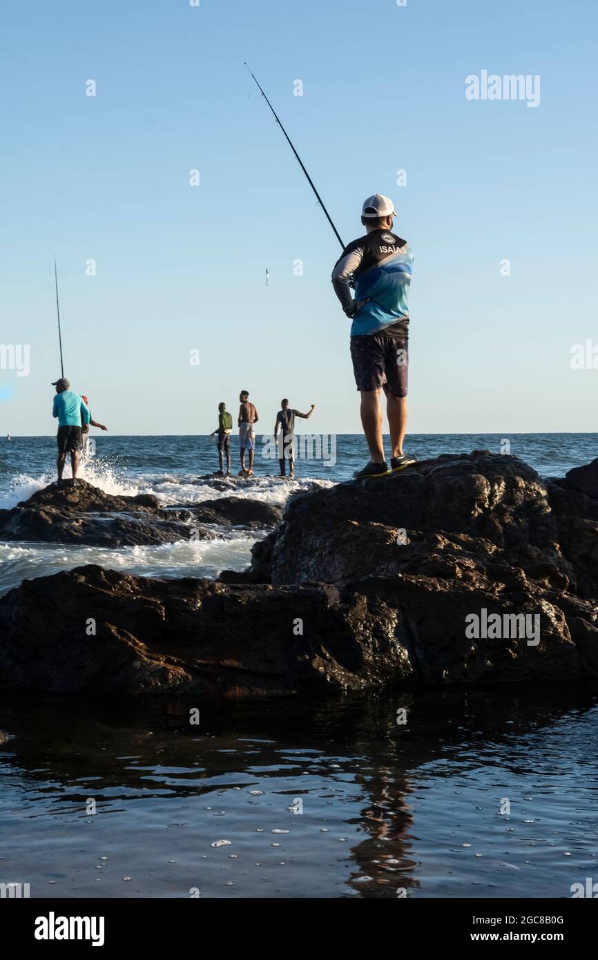 2,618 Pole Fishing Stock Photos, High-Res Pictures, and Images
