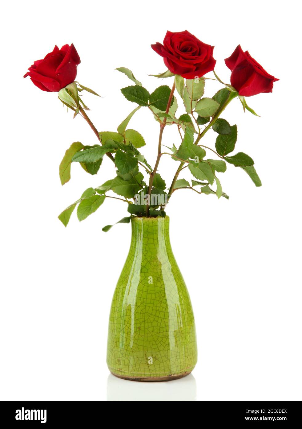 Beautiful roses in vase, isolated on white Stock Photo Alamy