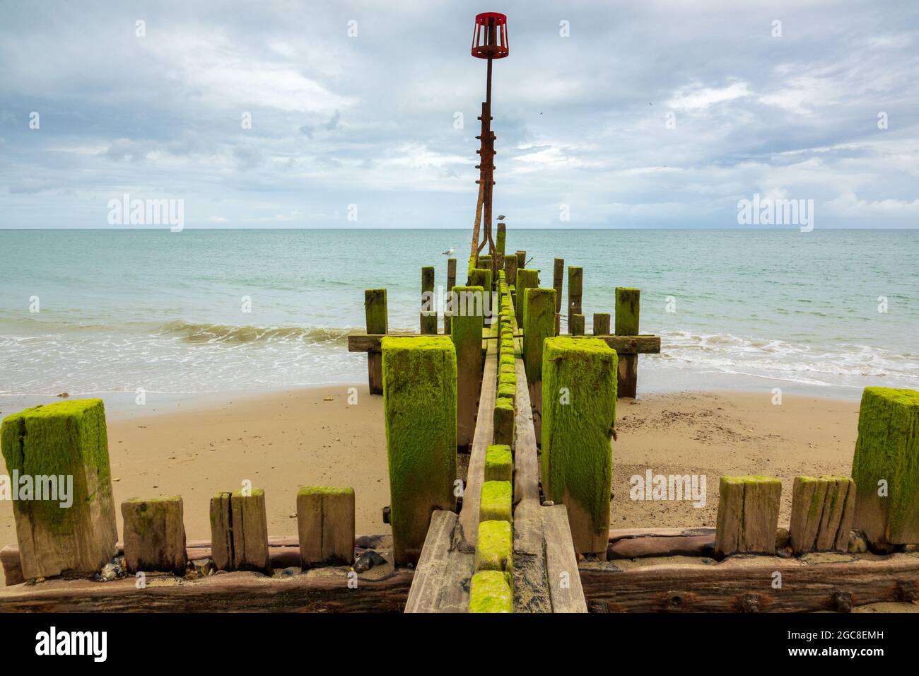 Wooden Groynes Walcott Beach Norfolk Stock Photo Alamy