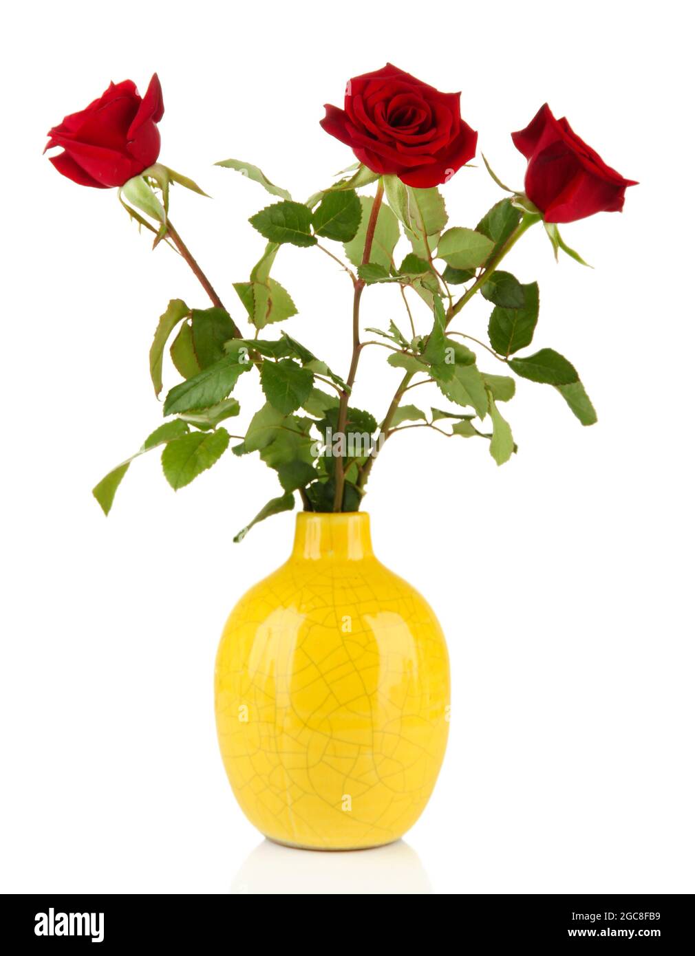 Beautiful roses in vase, isolated on white Stock Photo Alamy