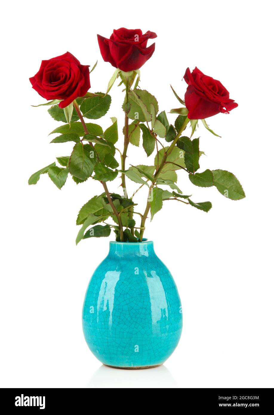 Beautiful roses in vase, isolated on white Stock Photo Alamy