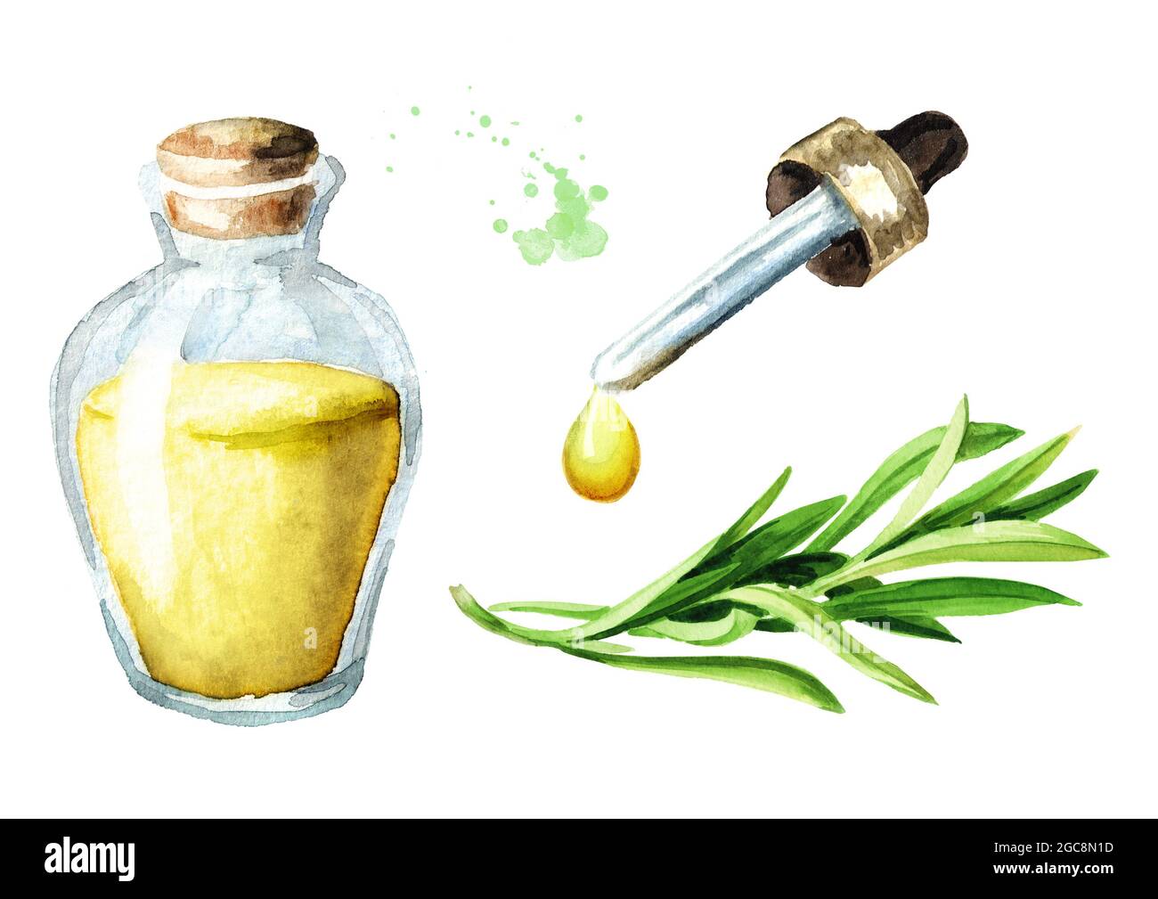 Tarragon essential oil and leaves set, medical plant or herb. Hand