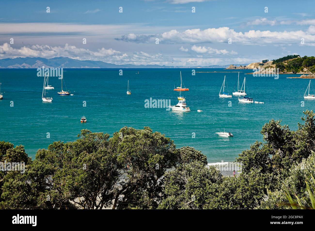 peaceful cove; Hauraki Gulf; boats anchored; hills; trees; aqua water; recreation; marine scene, trees, Waiheke Island; New Zealand Stock Photo