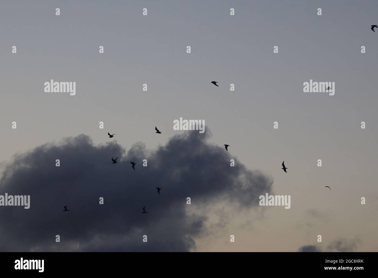 Cloud formations seen on a windy day in summer 2021. Stock Photo