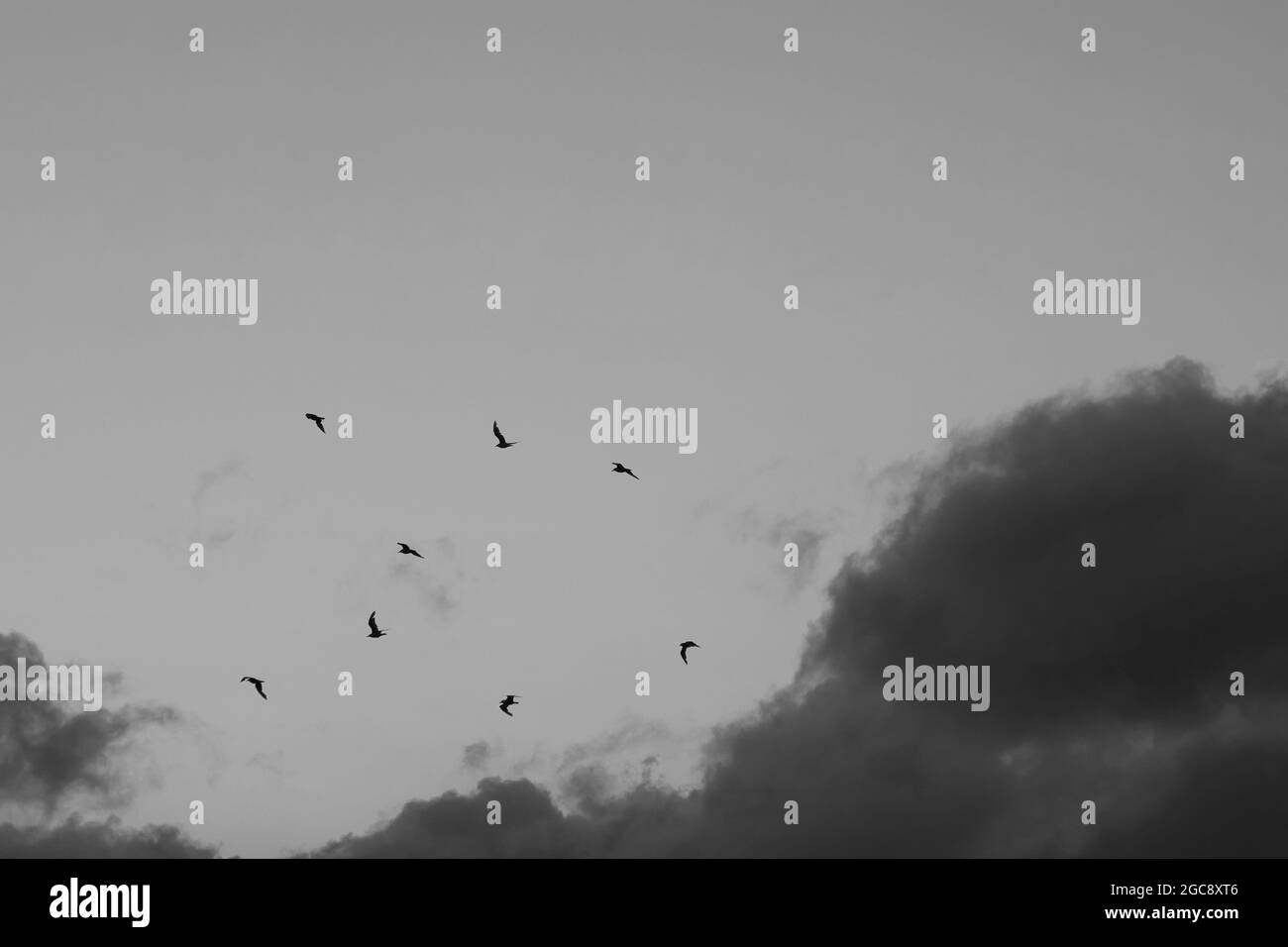 Cloud formations seen on a windy day in summer 2021. Stock Photo
