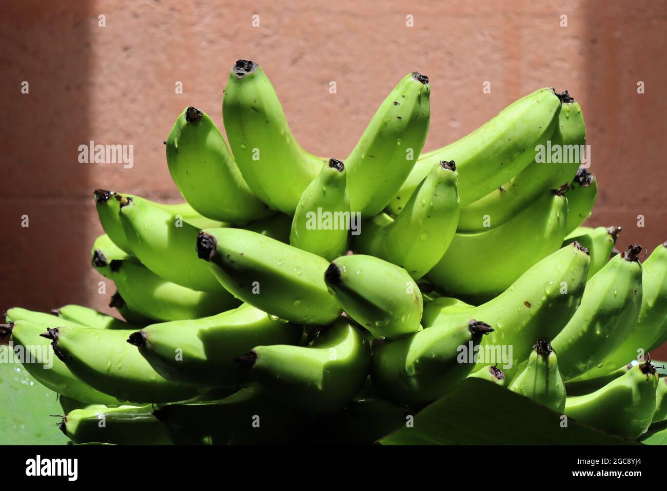 Home grow banana from Sri Lanka, very popular fruit to cultivate in home gardens every where in the island, so very tasty fruit. Stock Photo