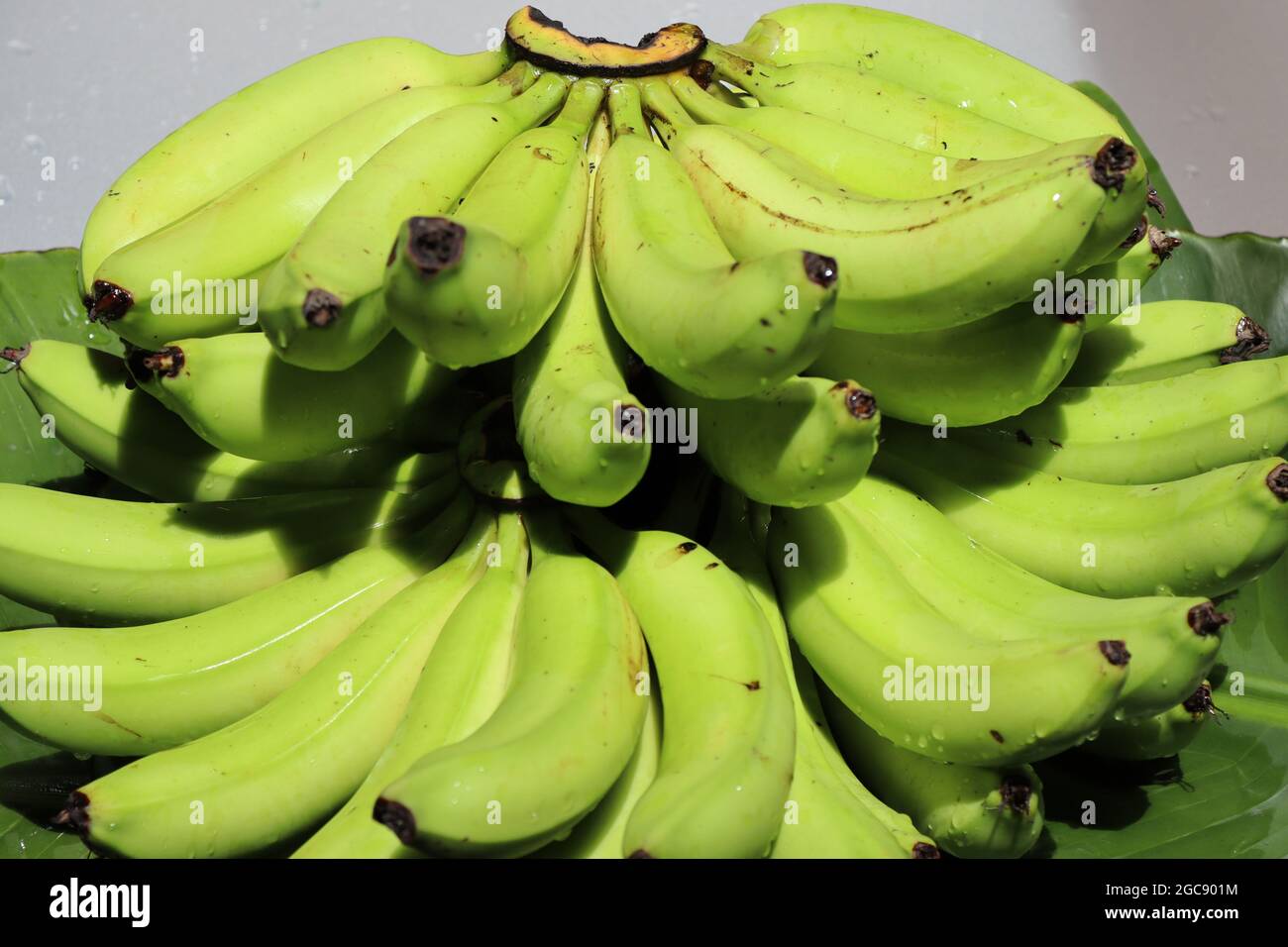 Home grow banana from Sri Lanka, very popular fruit to cultivate in home gardens every where in the island, so very tasty fruit. Stock Photo