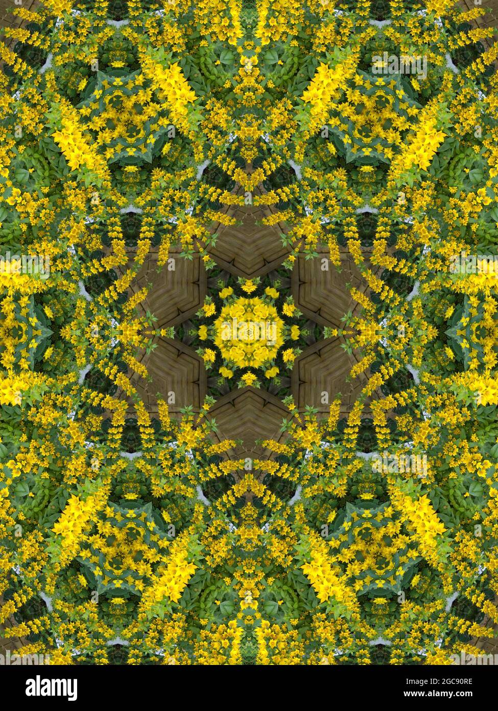 Flower energy kaleidoscope pattern. Digital art, abstract summer wildflowers and garden. Star, hexagons burst of light energy mandala. Earth mandala. Stock Photo