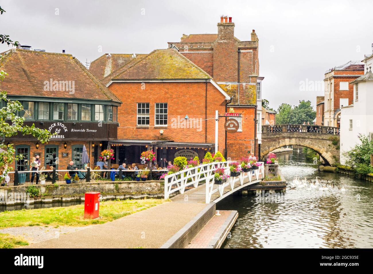 Swans on The Kennet and Avon canal as it passes through the Berkshire town of Newbury Stock Photo