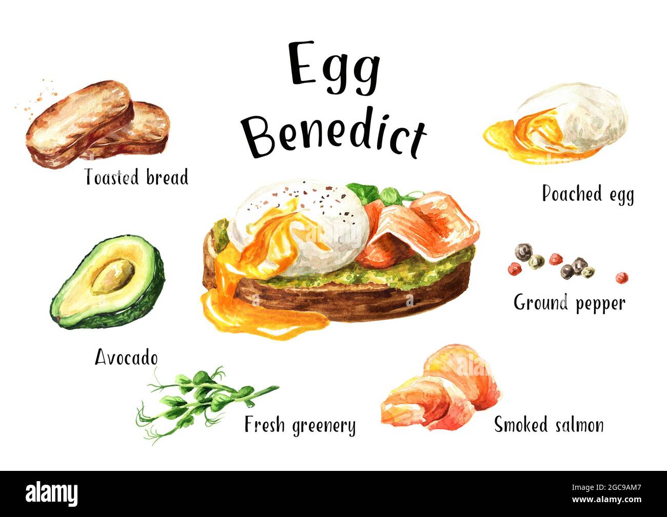 Egg Benedict recipe with ingredients. Hand drawn watercolor