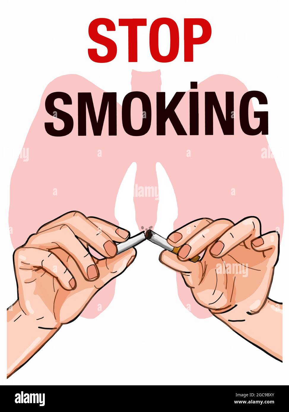 Dividing the cigarette into two hands lungs ,stop smoking Stock Photo
