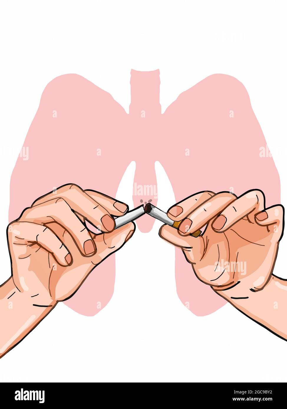 Dividing the cigarette into two hands lungs ,stop smoking Stock Photo