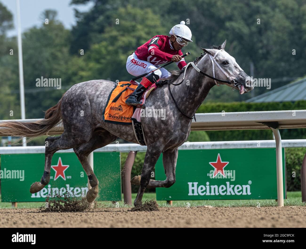 August 7, 2021, Saratoga Springs, New York, USA: 08072021:#7 STELLAR TAP ridden by RICARDO SANTANA wins the 5th race to give Steve Asmussen his 9446th win at Saratoga Race Course.Robert Simmons/Eclipse Sportswire Stock Photo