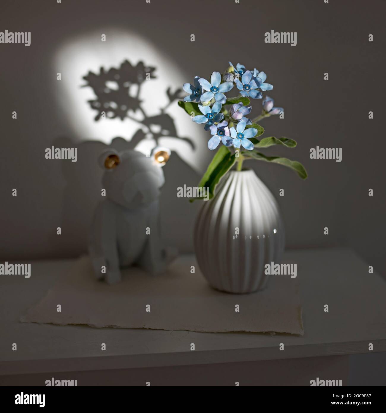 Flower hackelia velutina in a white fluted vase in the style of the seventies, a figurine of fox. Scandinavian style. Shadow Stock Photo