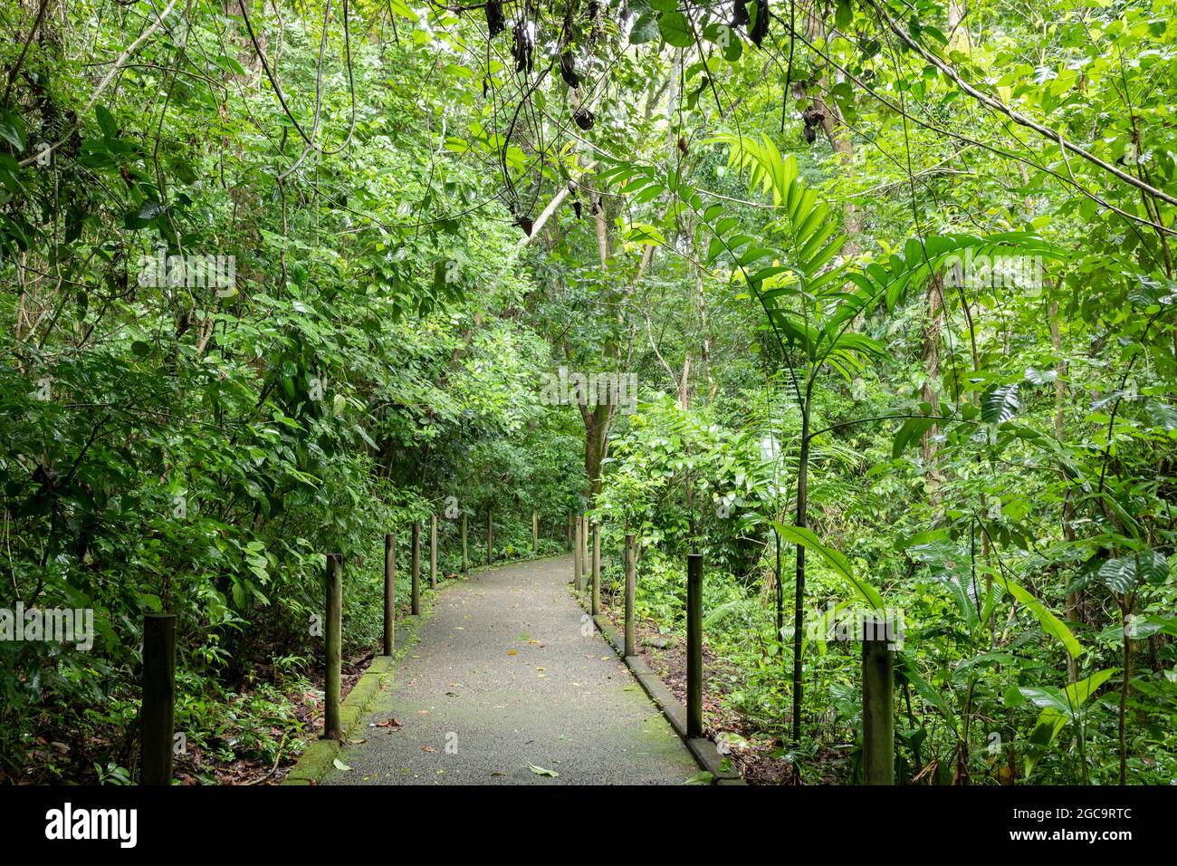 Carara National Park, Costa Rica. Universal trail with accessibility