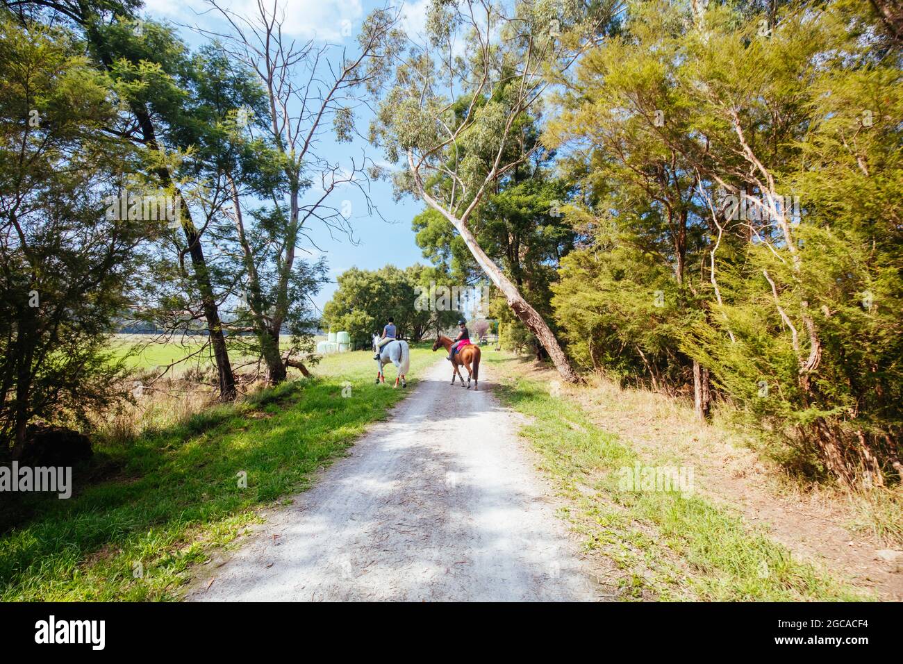 The popular Lilydale to Warburton Rail Trail between Woori Yallock station and Launching Place