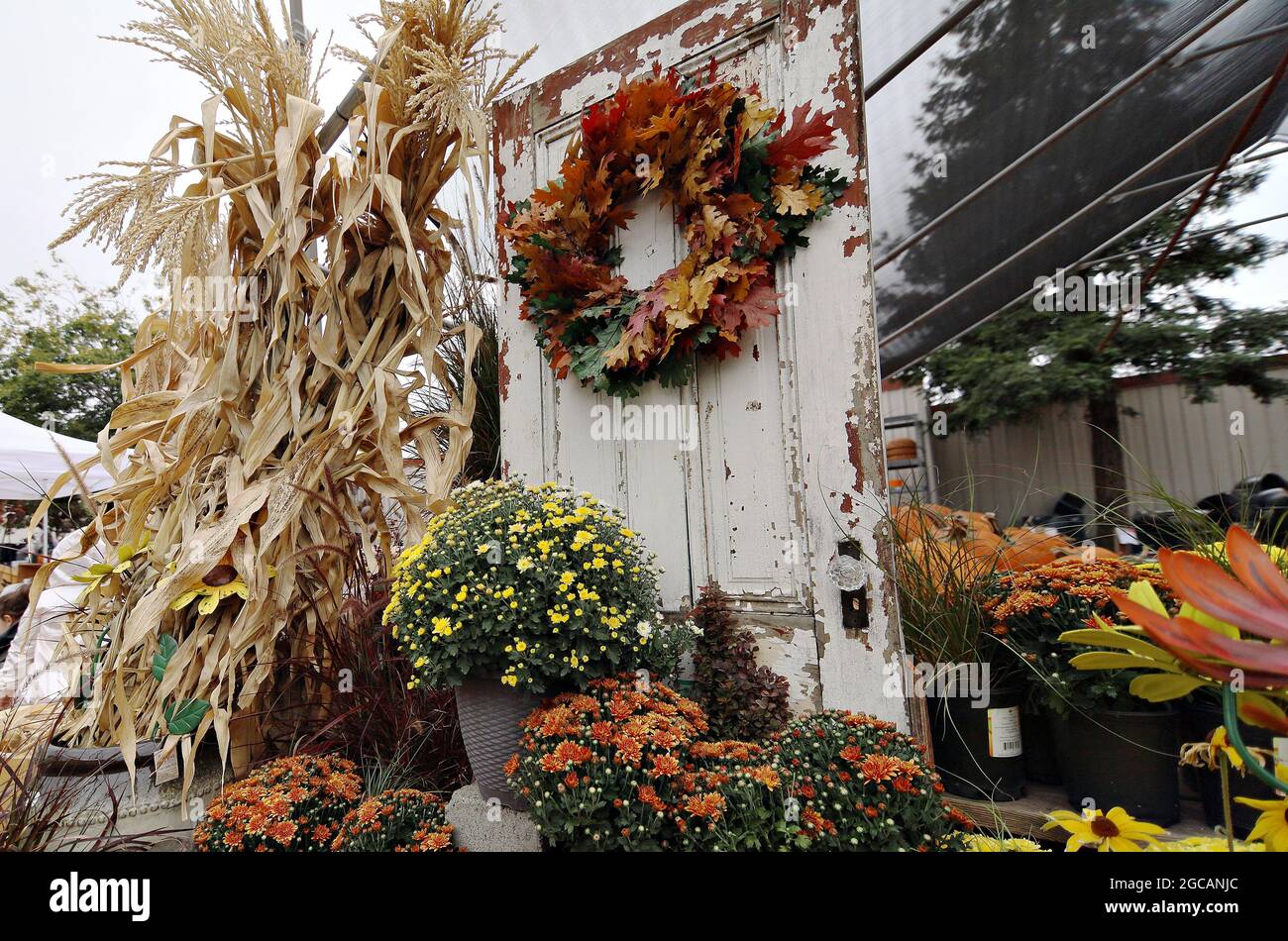 Fall farmer's market with pumpkins corn and gourds Stock Photo - Alamy