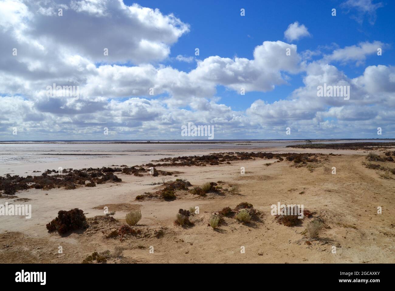 Barren and dry sand and salt scrub land at outback Lake Tyrrell near Sea Lake in Victoria Stock Photo