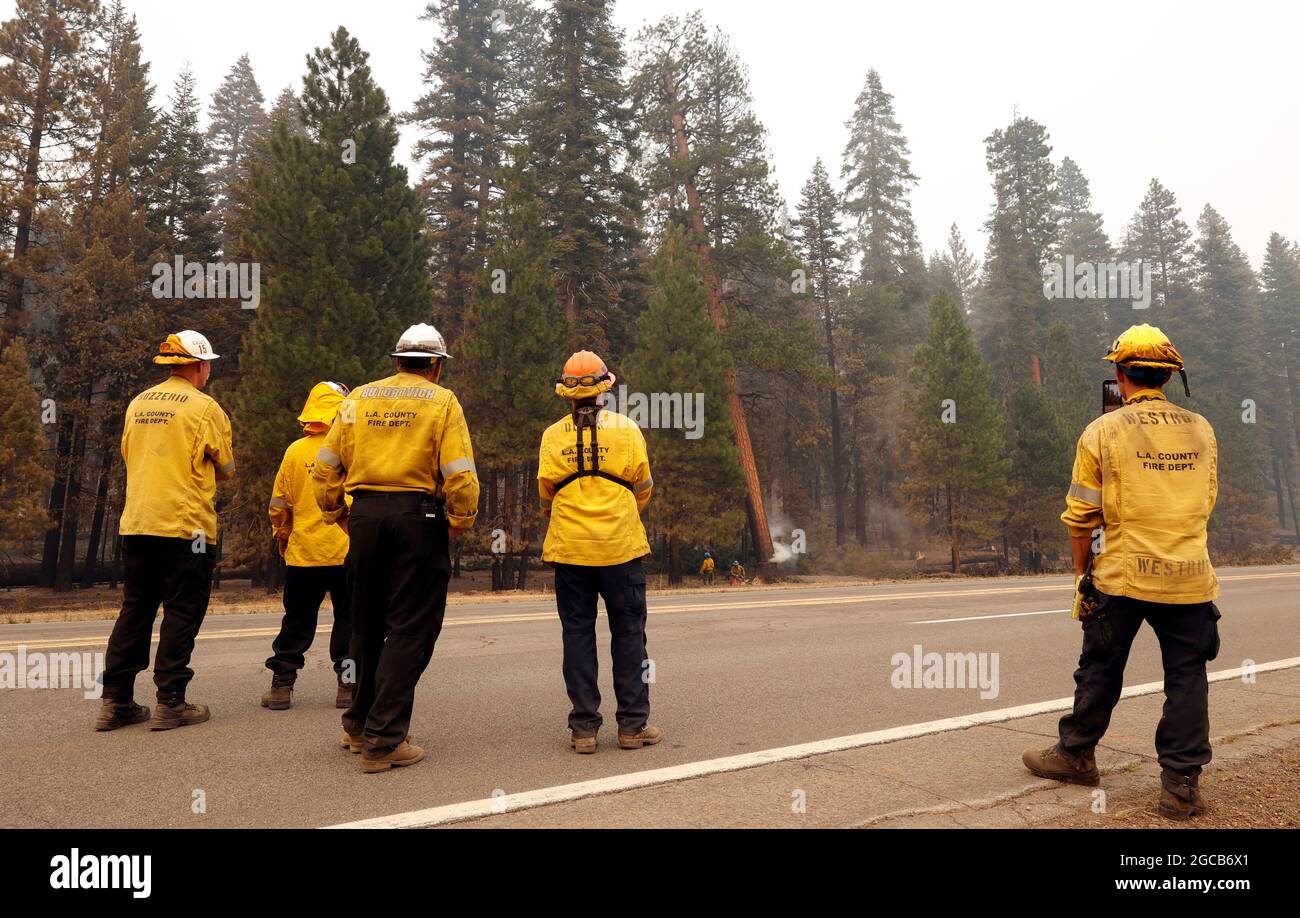Firefighters watch as burning trees are felled at the Dixie Fire near Chester, California, U.S. August 7, 2021. REUTERS/Fred Greaves Stock Photo