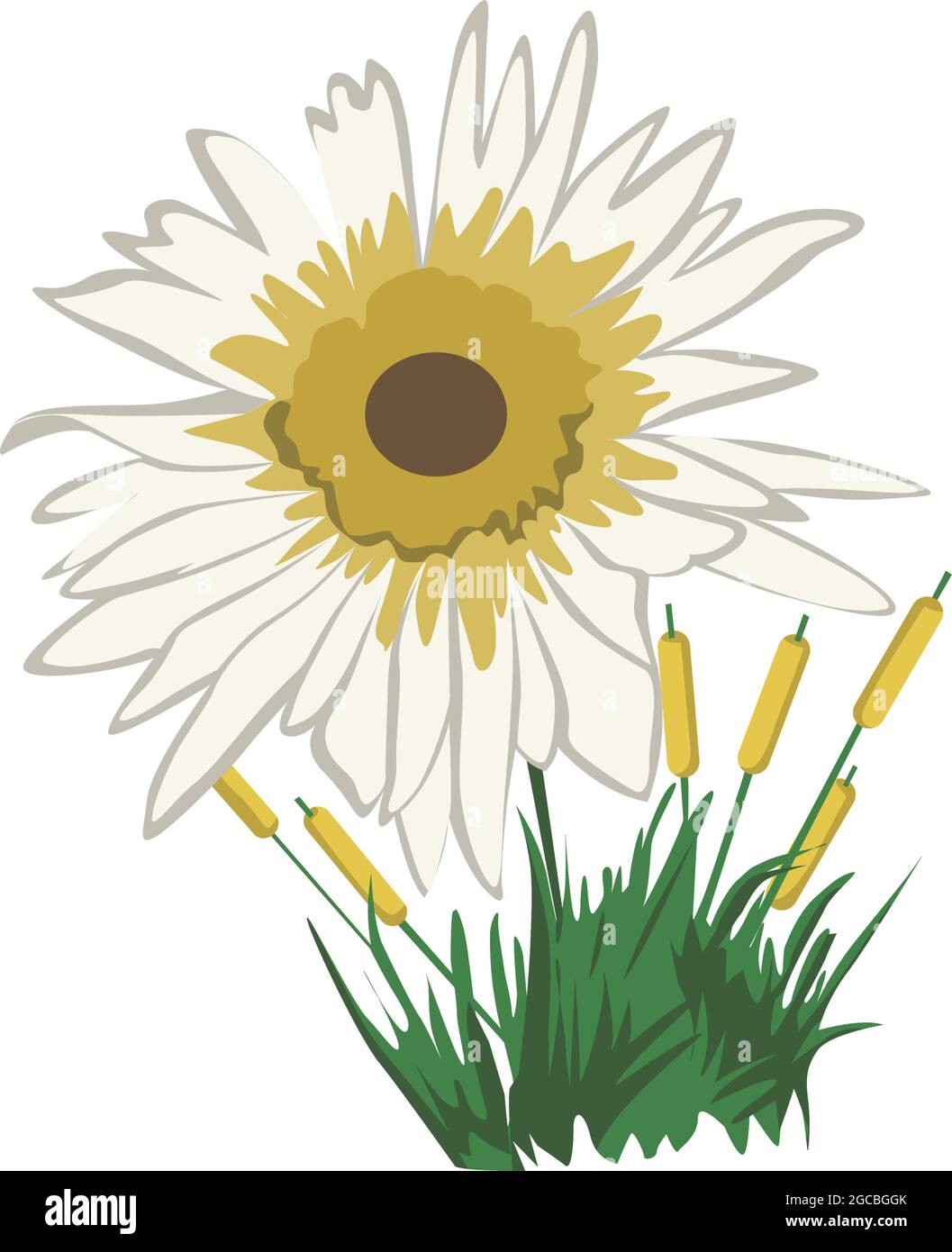 Daisy Flower color clip art Design Stock Vector Image & Art - Alamy