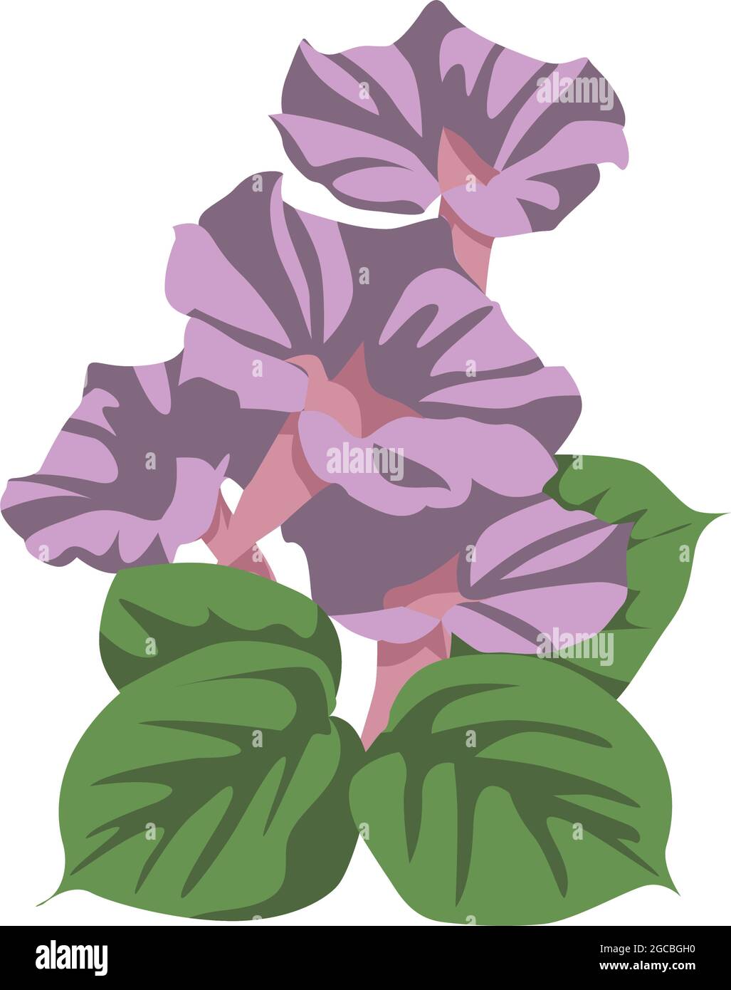 Morning Glory Flower color clip art Design Stock Vector Image & Art Alamy