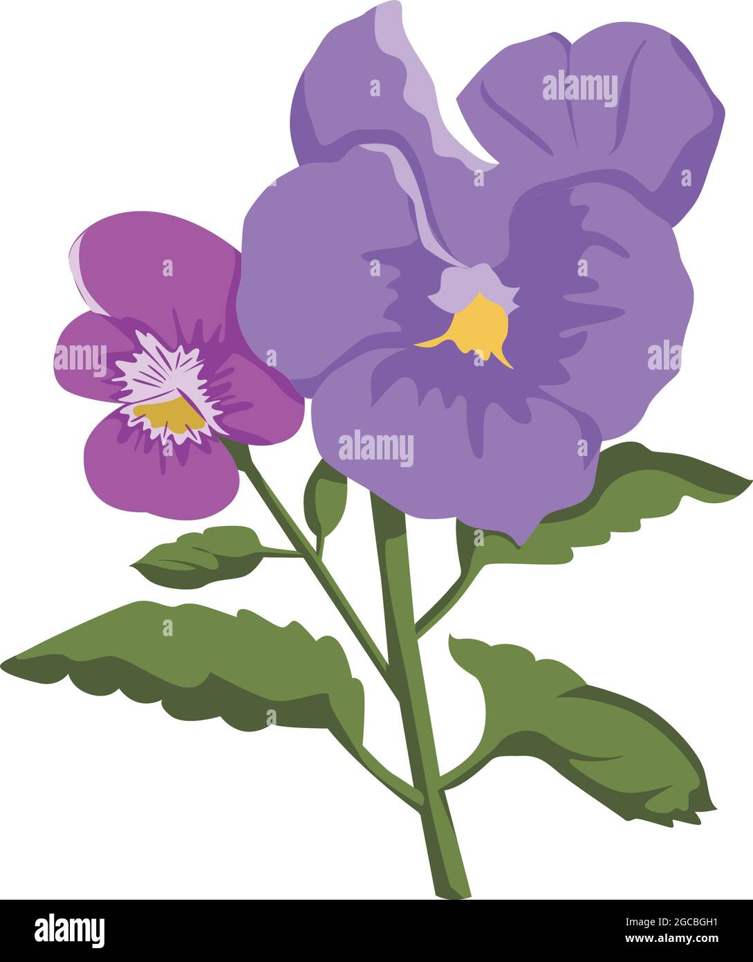 Pansy Flower color clip art Design Stock Vector Image & Art - Alamy