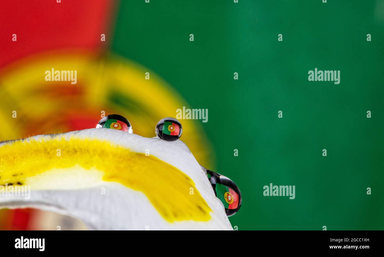 Reflection of the Portuguese flag in minute water drops on top of flower petal Stock Photo