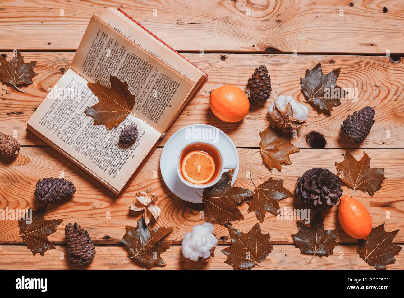 Fall Relaxing Backgrounds