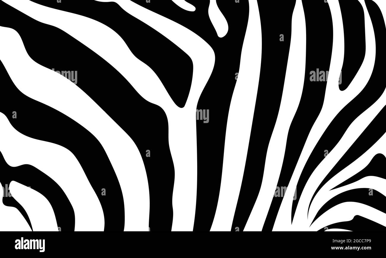 Abstract background skin of a zebra, white and black color. Wild ...