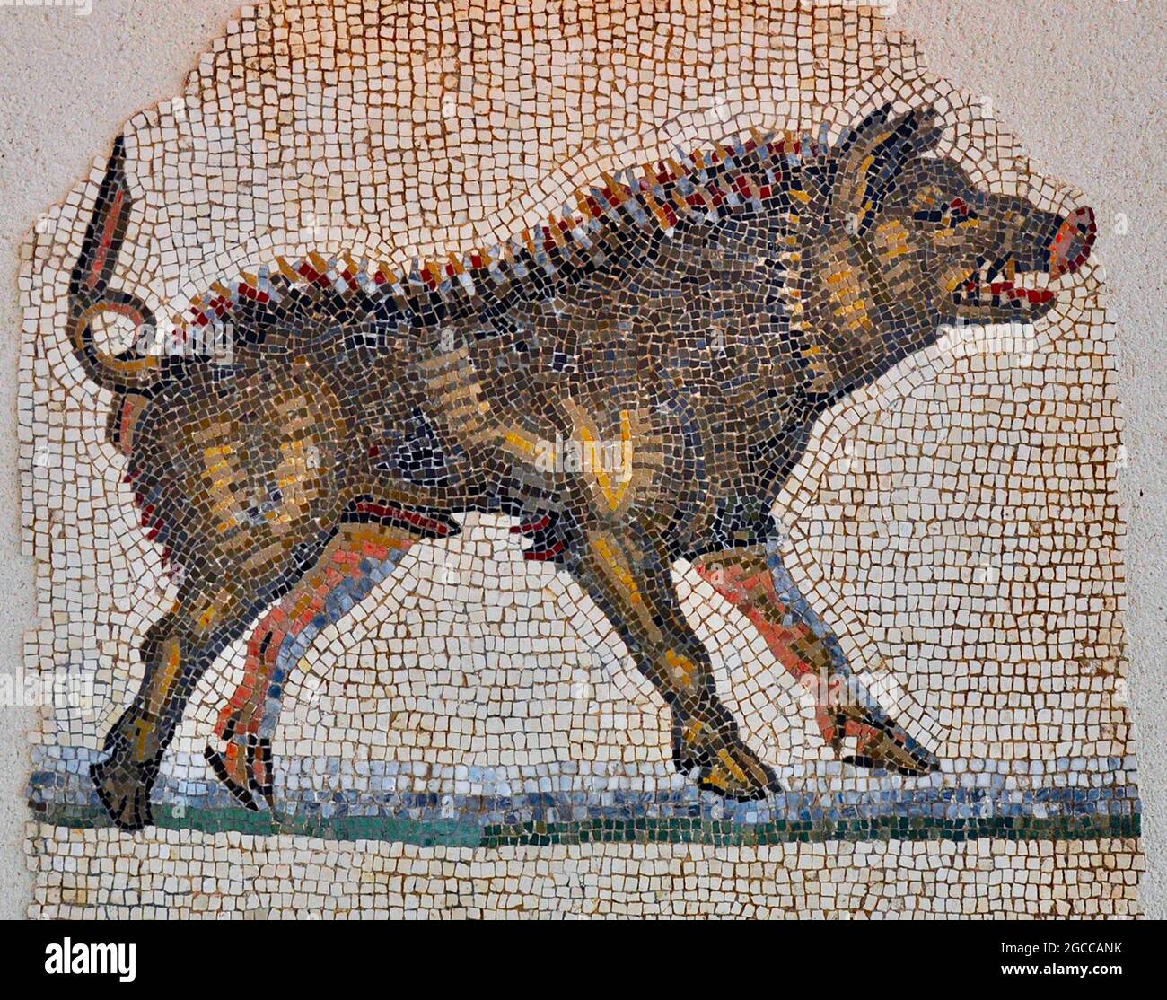 Mosaic Art - Wild Boar Stock Photo